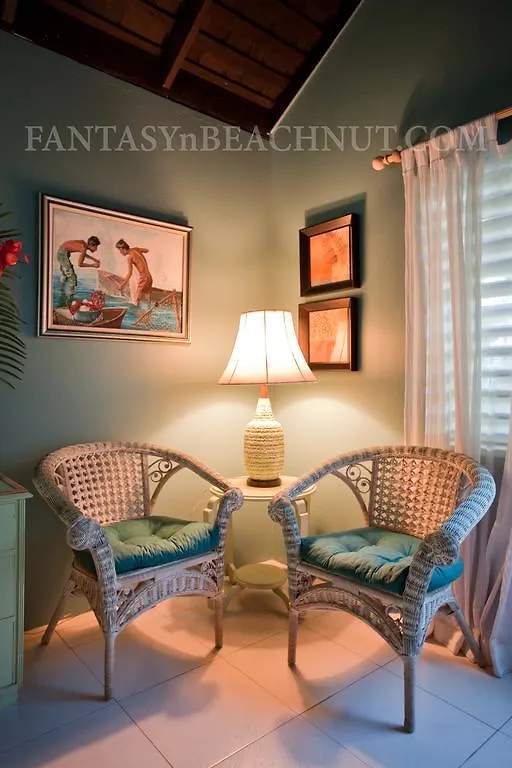 Fantasy & Beachnut Villas ジャマイカ